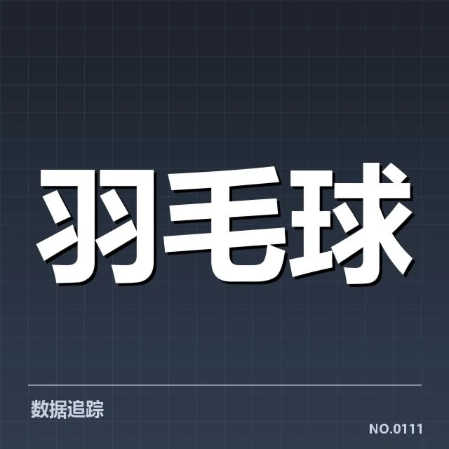 林丹比赛判罚不公：裁判公正性存疑与规则完善呼声